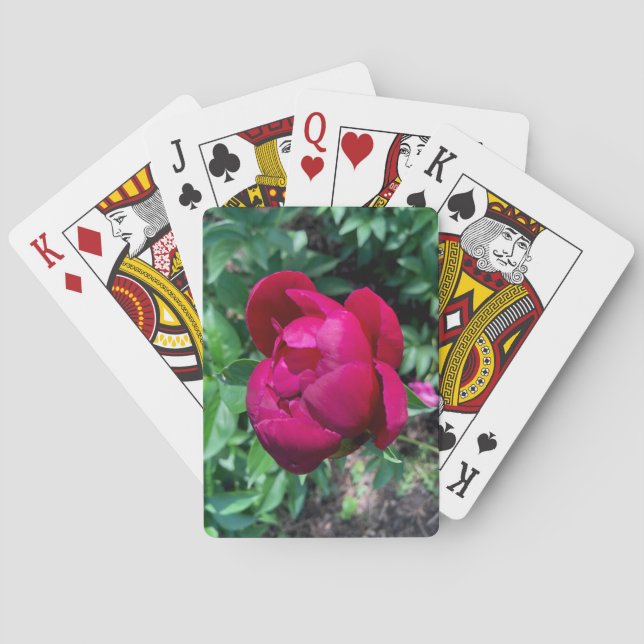 Peony Playing Cards (Back)