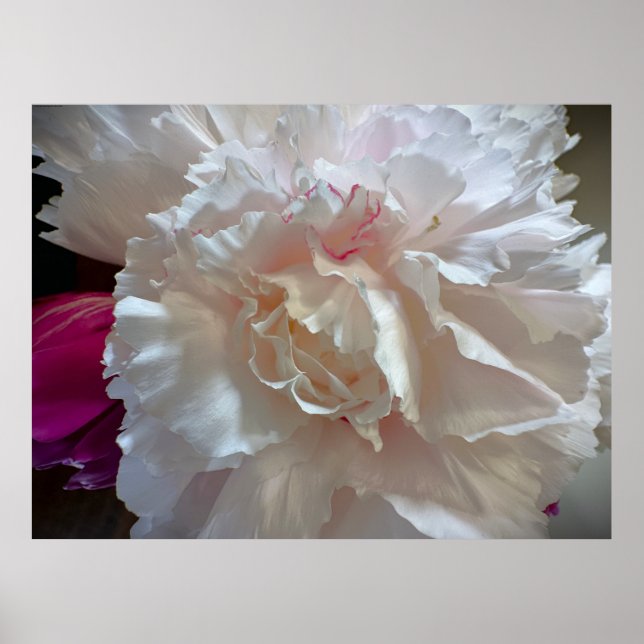 Peony, Poster (Front)