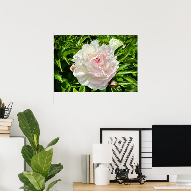 Peony, Poster (Home Office)