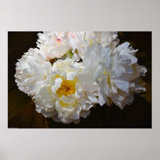 Peony, Poster