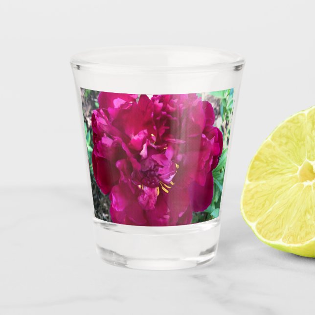 Peony Shot Glass (Front)