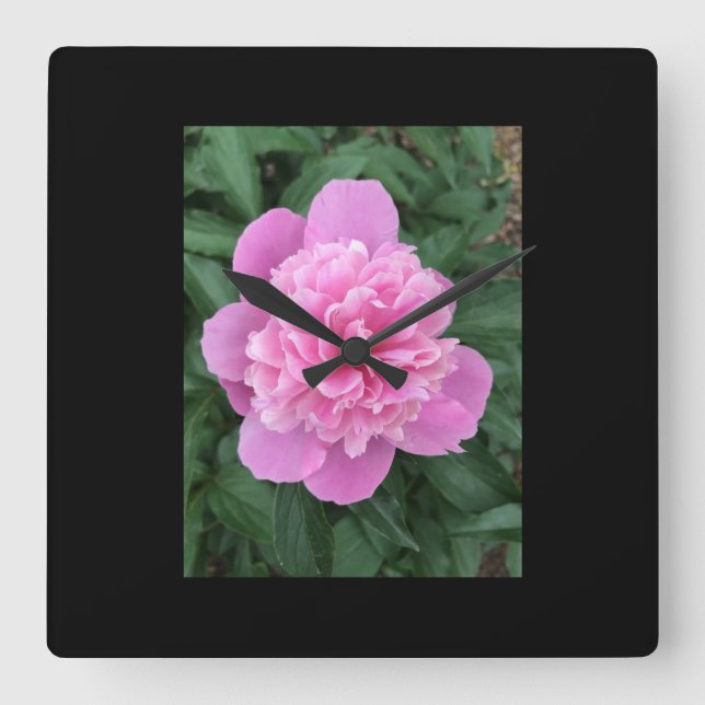 Peony Square Wall Clock (Front)