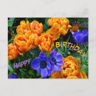 Peony Tulips & Anemones Happy Birthday Postcard