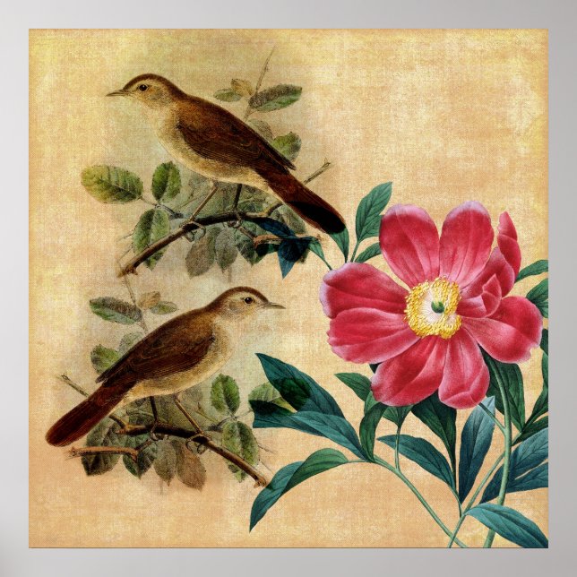 Peony with Nightingales Poster (Front)