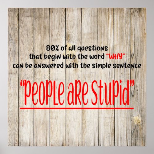 People are Stupid Poster