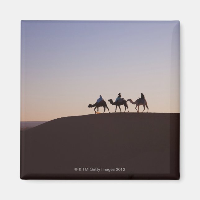 People riding camels, Morocco Magnet (Front)