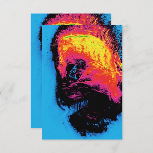 pepper and plastic silenced (Front/Back)