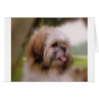 Pepper crop cards