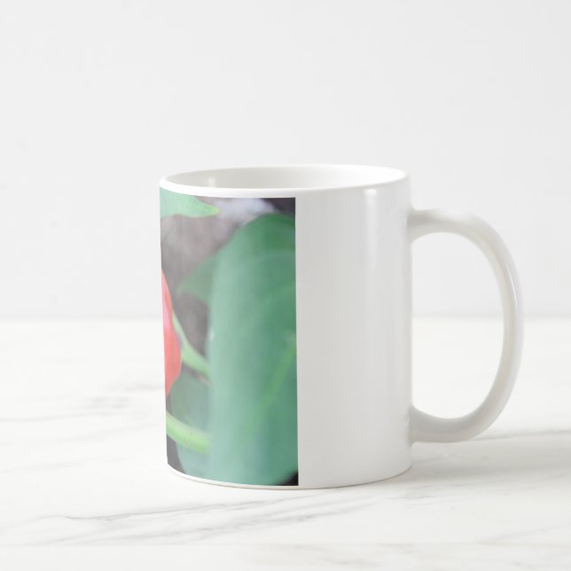 Pepper Garden Mix Coffee Mug (Right)