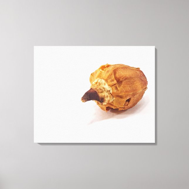 Pepper Pod Canvas Print (Front)