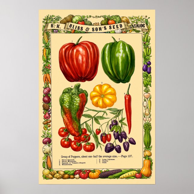 Pepper Varieties Retro Victorian Era Botanical Art Poster (Front)