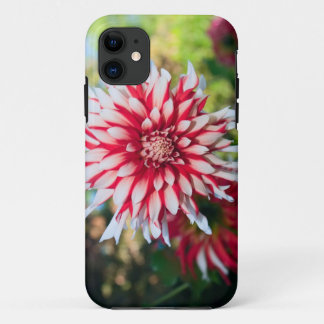 Peppermint Dahlia iPhone 5 Case-Mate Case
