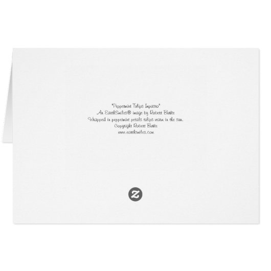 Peppermint Tulips (Impasto) (Back Horizontal)