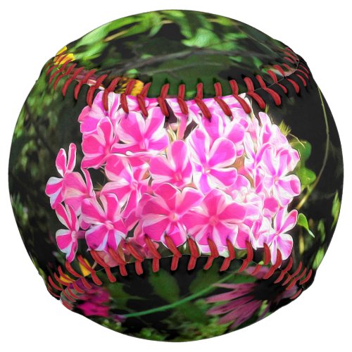 Peppermint Twist Phlox in the Flower Garden Softball