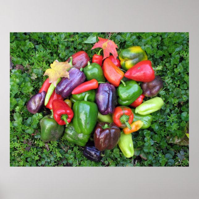 Peppers & Maple Leaves Poster (Front)