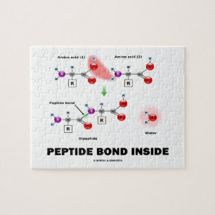 Peptide Bond Inside Chemical Molecules Jigsaw Puzzle