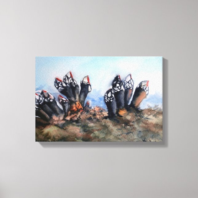 Percebes/Barnacles Canvas Print (Front)