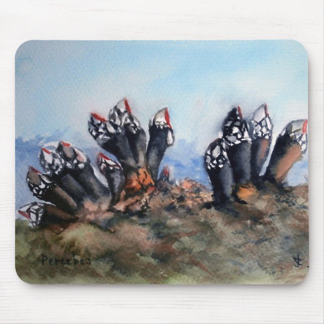Percebes/Barnacles Mouse Pad (Front)