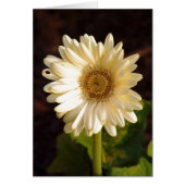 Perceived Imperfections (Front)