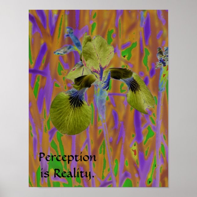 Perception is Reality Poster-Iris Poster (Front)