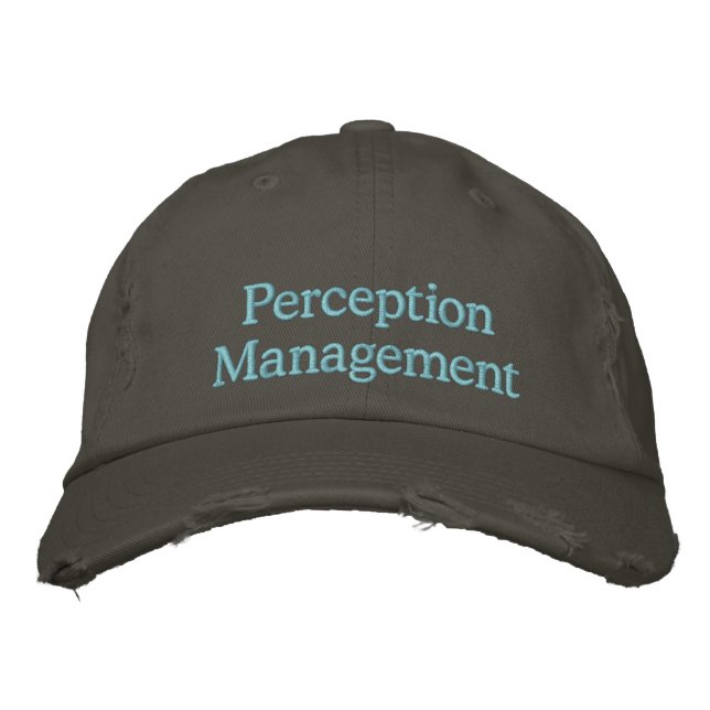 Perception Management Embroidered Baseball Hat (Front)