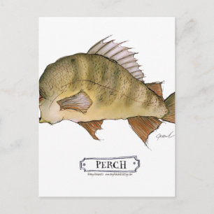 Perch fish, tony fernandes postcard