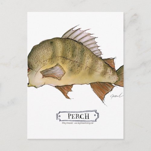 Perch fish tony fernandes postcard