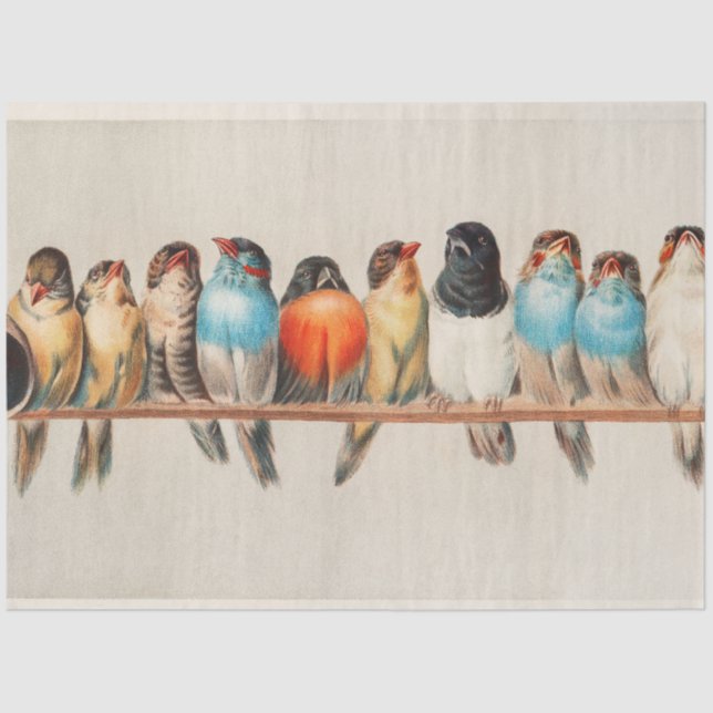 Perch of Birds, Bird Art, Bird Artwork, Decoupage Tissue Paper (Front)