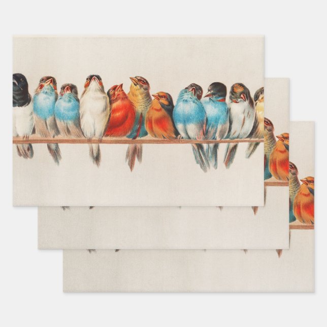 Perch of Birds, Bird Art, Bird Artwork, Decoupage Wrapping Paper Sheets (Set)