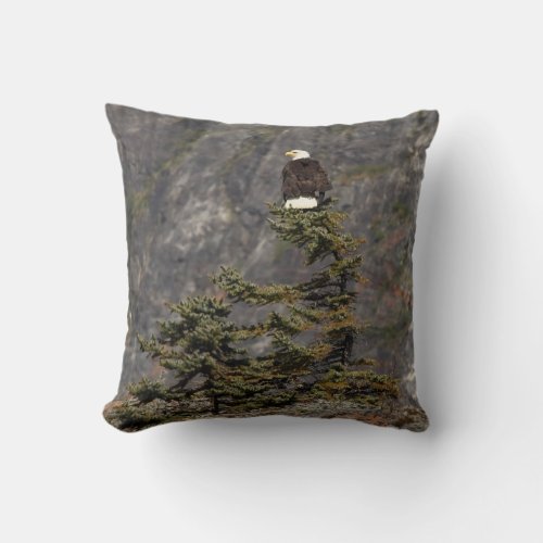 Perched Bald Eagle Throw Pillow