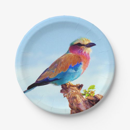 Perched Colorful African Bird Paper Plates