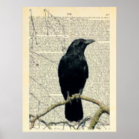 Perched Crow, Crow Art, Raven, Edgar Allan Poe
