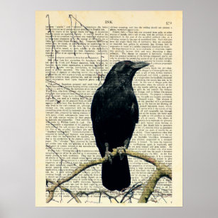 Perched Crow, Crow Art, Raven, Edgar Allan Poe Poster