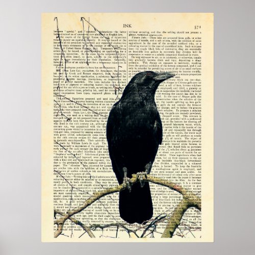 Perched Crow Crow Art Raven Edgar Allan Poe Poster
