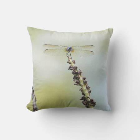Perched Dragonfly! Nature Lover's  Outdoor Pillow