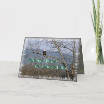 Perched Eagle-cutomize Any Attendant Holiday Card by MakaraPhotos at Zazzle
