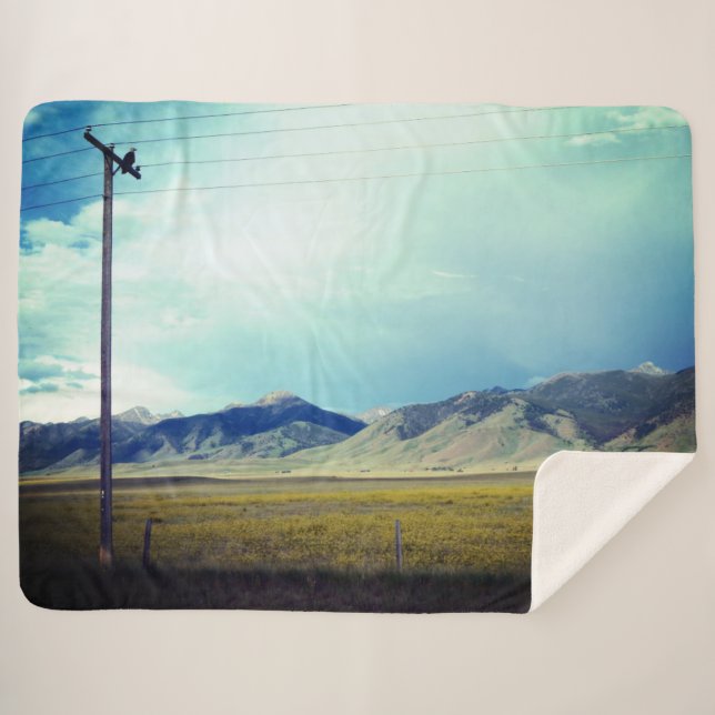 Perched Eagle Sherpa Blanket (Front (Horizontal))