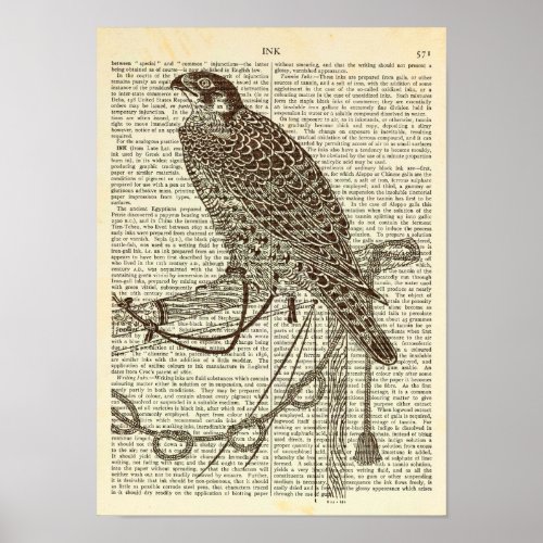 Perched Falcon Iconic Engraving Falcon Art Poster