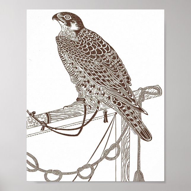 Perched Falcon, Iconic, Falcon Art, Japan Print (Front)