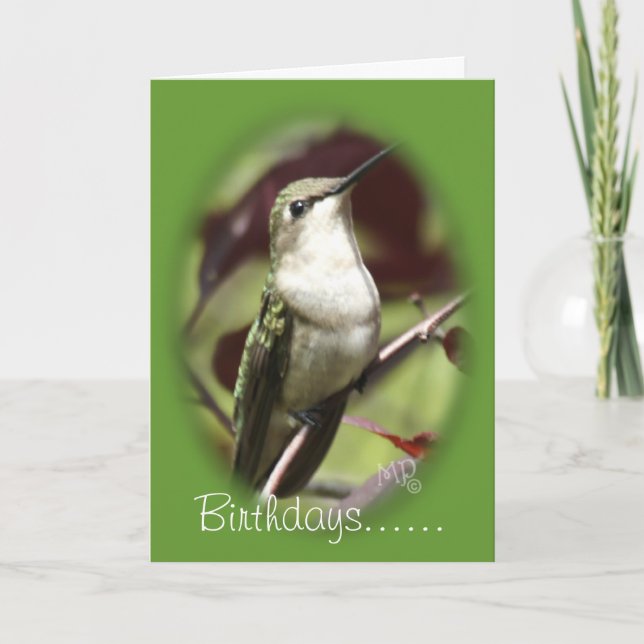 Perched female Hummingbird- customize any occasion Card (Front)