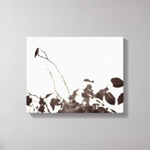Perched Hummingbird 14x11 Wrapped Canvas Print