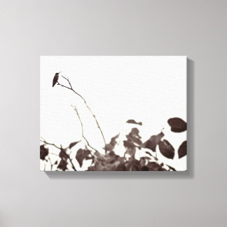 Perched Hummingbird 14x11 Wrapped Canvas Print