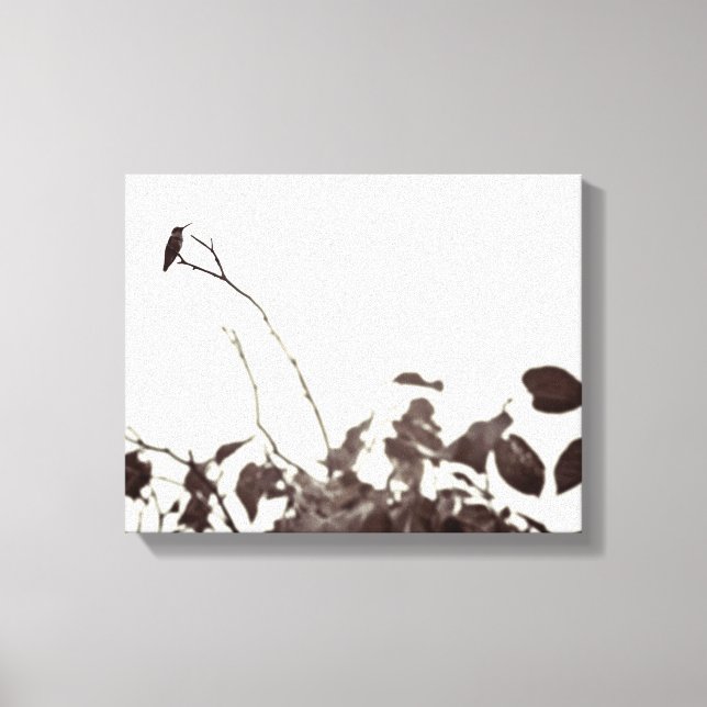 Perched Hummingbird 14x11 Wrapped Canvas Print (Front)