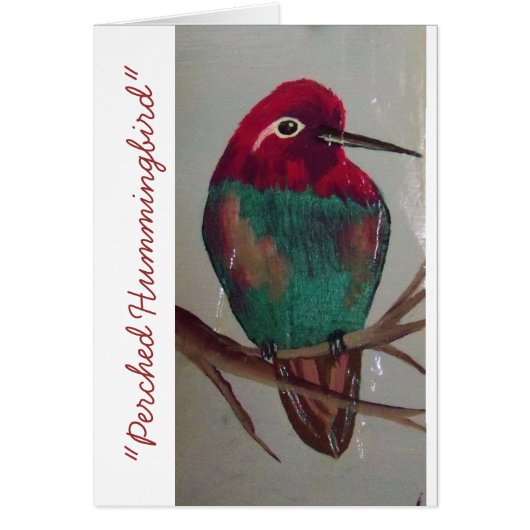 "Perched Hummingbird" Cards (Front)