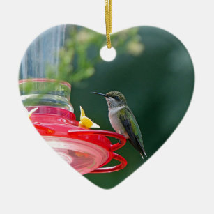 Perched Hummingbird Ceramic Ornament