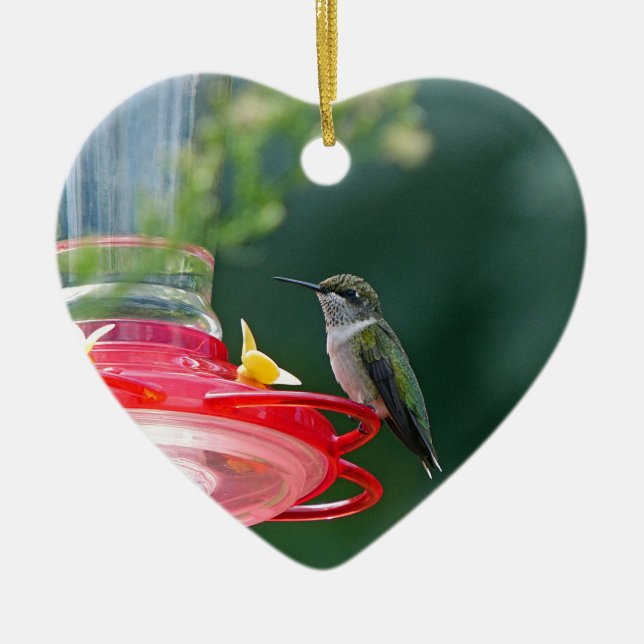 Perched Hummingbird Ceramic Ornament (Front)