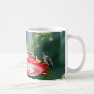 Perched Hummingbird Coffee Mug