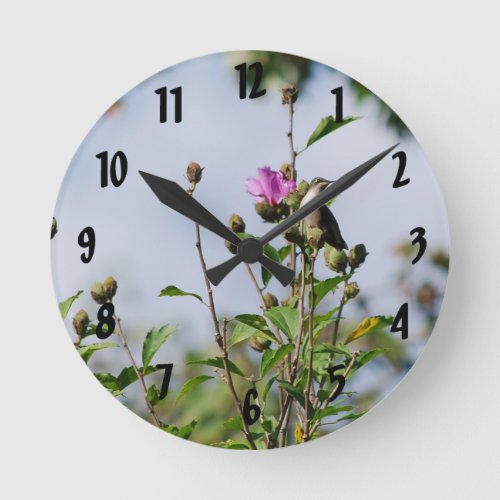 Perched Hummingbird Round Clock