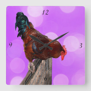 Perched in Majesty: Rooster On Dreamy Purple Glow Square Wall Clock