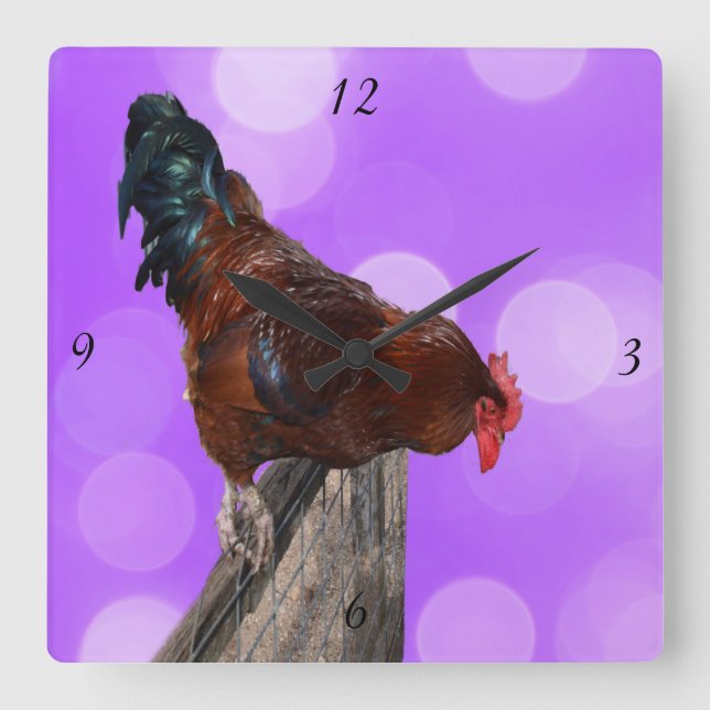 Perched in Majesty: Rooster On Dreamy Purple Glow Square Wall Clock (Front)